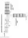 Fig. 22 - METHOD FOR POPULATING AND INSTRUCTION VIEW DATA STRUCTURE BY USING REGISTER TEMPLATE SNAPSHOTS