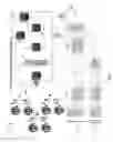 Fig. 02 - Cross-function virtualization of a telecom core network