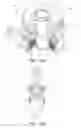 Fig. 13 - Vacuum blender