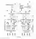 Fig. 04 - Packet forwarding