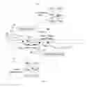 Fig. 16 - Packet forwarding