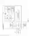 Fig. 02 - Automatic browser tab groupings