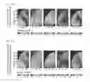 Fig. 15 - Ensemble-based reservoir characterization method using multiple Kalman gains and dynamic data selection