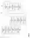 Fig. 07 - DYNAMIC CONFIGURATION OF A RECONFIGURABLE HUM FABRIC
