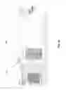 Fig. 11 - Tool for visualizing PCR results