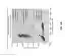 Fig. 14 - Tool for visualizing PCR results