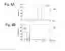 Fig. 07 - System for handling information relating to chemical substances