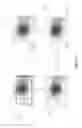 Fig. 03 - Image processing method and system for iris recognition