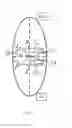 Fig. 06 - Video analysis for 3D reconstruction of insect behavior