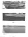Fig. 06 - Vehicular vision system