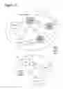 Fig. 16 - Video-based Adaptive Recommendations