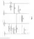 Fig. 07 - Dynamically generated audio in advertisements