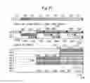 Fig. 32 - Image processing apparatus, image processing method, and recording medium