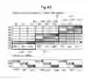 Fig. 46 - Image processing apparatus, image processing method, and recording medium