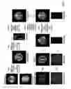 Fig. 02 - Vascular territory segmentation using mutual clustering information from image space and label space