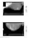Fig. 07 - Systems and methods for interleaving series of medical images
