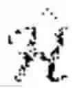 Fig. 08 - Designing effective inter-pixel information flow for natural image matting