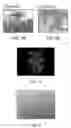 Fig. 05 - Object digitization