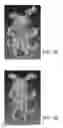 Fig. 10 - Object digitization