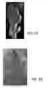 Fig. 11 - Object digitization