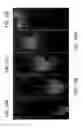 Fig. 12 - Object digitization