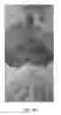 Fig. 15 - Object digitization