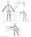 Fig. 01 - APPARATUS AND METHOD TO GENERATE REALISTIC RIGGED THREE DIMENSIONAL (3D) MODEL ANIMATION FOR VIEW-POINT TRANSFORM