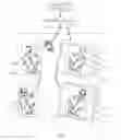 Fig. 08 - APPARATUS AND METHOD TO GENERATE REALISTIC RIGGED THREE DIMENSIONAL (3D) MODEL ANIMATION FOR VIEW-POINT TRANSFORM