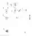 Fig. 08 - Autonomous agent hybrid system