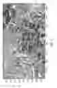 Fig. 03 - Compressed edge map representation for image aided navigation