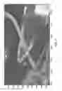 Fig. 05 - Compressed edge map representation for image aided navigation