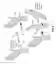 Fig. 07 - Identification band