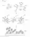 Fig. 01 - SELF-ASSEMBLED NANOPARTICLES WITH POLYMERIC AND/OR OLIGOMERIC LIGANDS