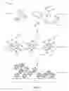 Fig. 02 - SELF-ASSEMBLED NANOPARTICLES WITH POLYMERIC AND/OR OLIGOMERIC LIGANDS