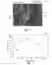 Fig. 06 - Semiconductor processing apparatus with protective coating including amorphous phase