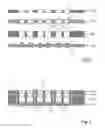 Fig. 03 - Opto-electronic modules and methods of manufacturing the same and appliances and devices comprising the same