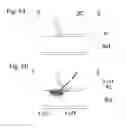 Fig. 05 - Light emitting device