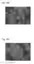 Fig. 06 - Titanium oxide, and electrode and lithium ion secondary battery each manufactured using same
