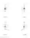 Fig. 04 - PASSIVE COMPOUND STRONG-IONIZATION DISCHARGING PLASMA LIGHTNING REJECTION DEVICE