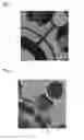 Fig. 03 - Motor