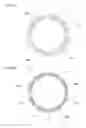 Fig. 07 - ROTATIONAL POSITION DETECTION DEVICE AND MOTOR DEVICE