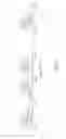 Fig. 04 - Variable frequency filter