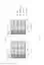 Fig. 09 - Methods and apparatuses for channel estimation for NB-PBCH in NB-LTE systems