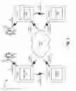 Fig. 02 - Enhanced physical signal structure for LTE V2V communications