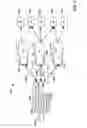 Fig. 06 - Convergence layer for 5G communication systems