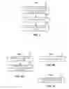 Fig. 09 - Stateless information centric forwarding using dynamic filters