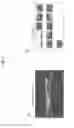 Fig. 08 - Image processing apparatus, image processing method, and program