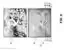 Fig. 07 - Method for assisted image improvement