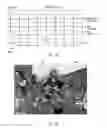 Fig. 09 - Method and system for view optimization of a 360 degrees video