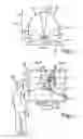 Fig. 02 - System and method for displaying a stream of images